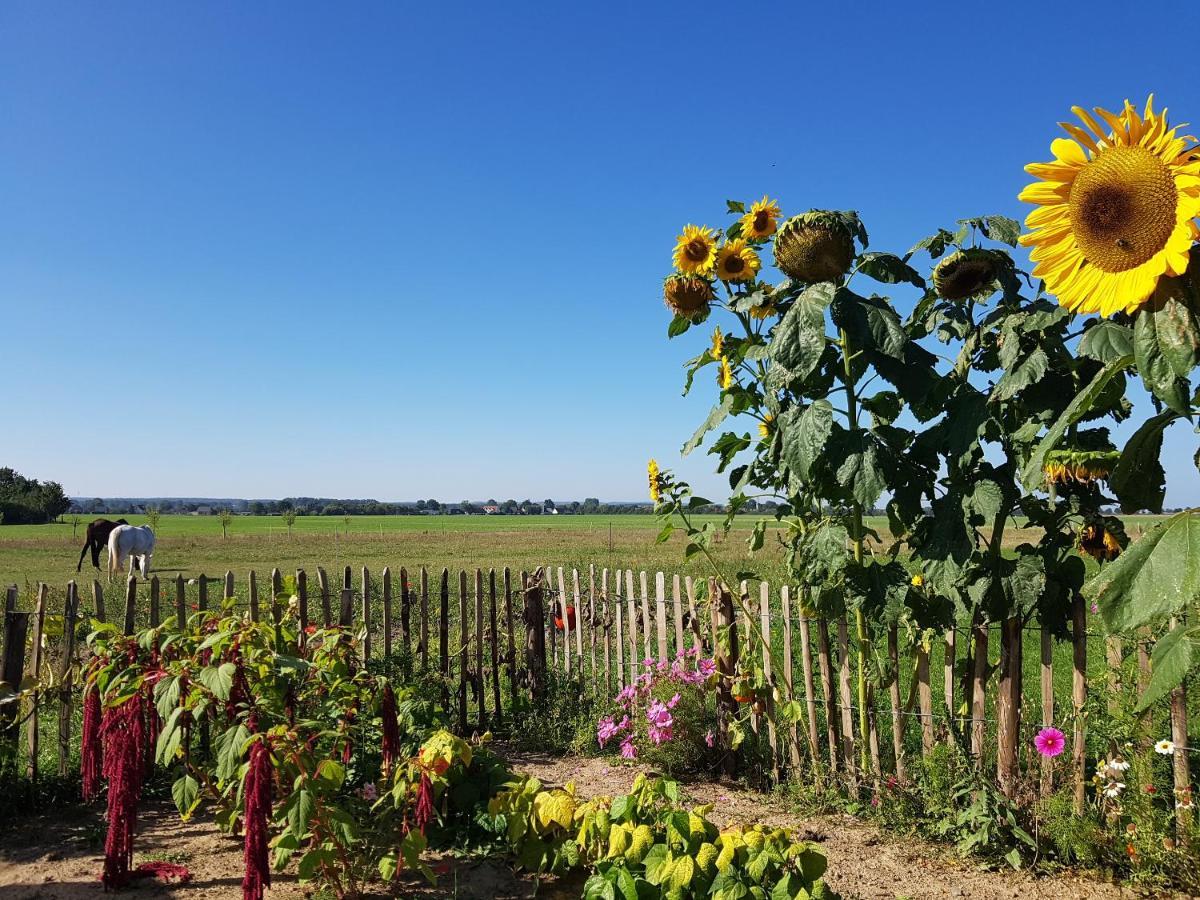 Heimatliebe * Boergerende-Rethwisch