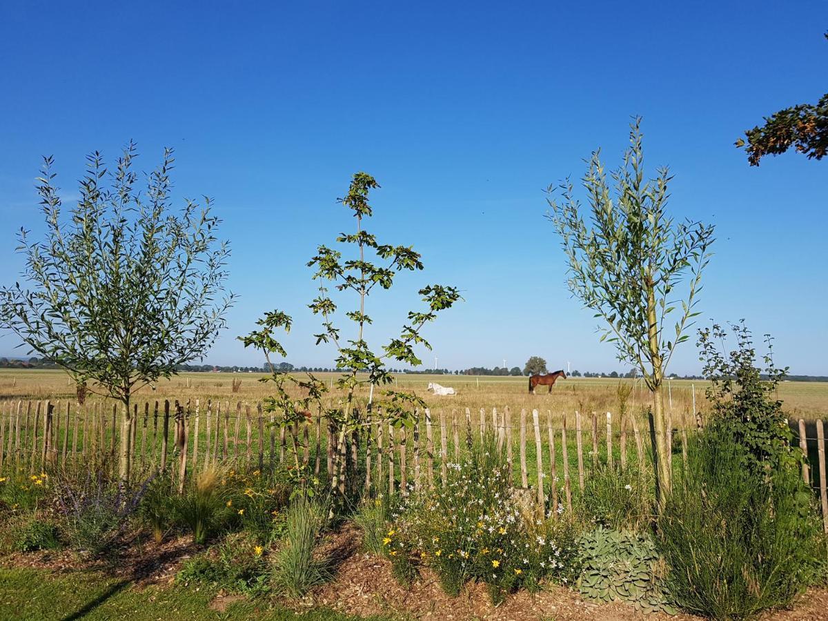 Heimatliebe Boergerende-Rethwisch